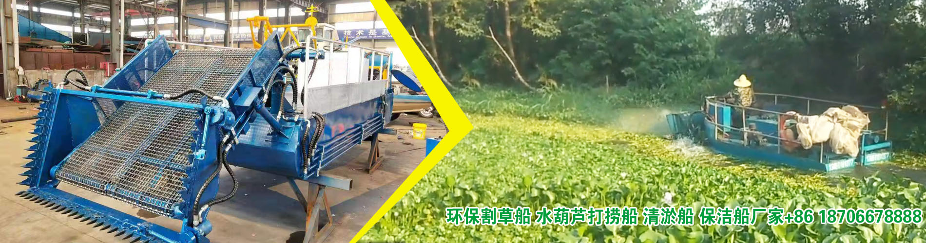 ç°ä¿æ²³éå²èè¹/æ°´è«èææè¹/æ¸æ·¤è¹