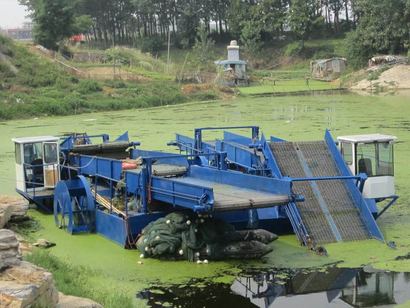 ææ²è¹å» å®¶